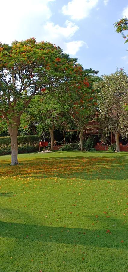 Sakkara Country Club Hotel El Hawamdeya Exterior photo